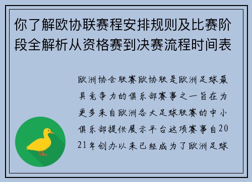你了解欧协联赛程安排规则及比赛阶段全解析从资格赛到决赛流程时间表详解